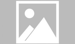 陈泽在91直播吗,精彩瞬间不容错过